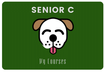 Senior C iWonder 6 (International Edition)
