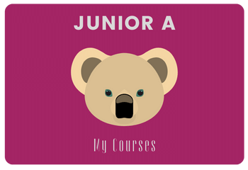 Junior A iWonder 1 (International Edition)