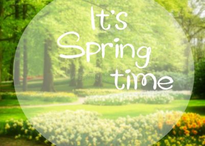 green-grass-lawn-trees-daffodils-dutch-garden-its-spring-time-words-grass-lawn-daffodils-spring-garden-109746232