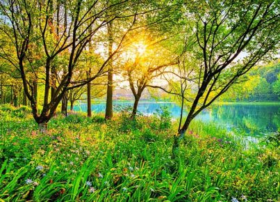 HD-wallpaper-spring-lake-flowers-beautiful-green-grass-sunshine-sunset-trees-lake